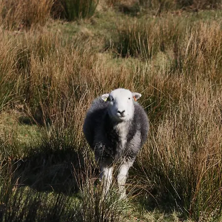 Walkers Retreat *